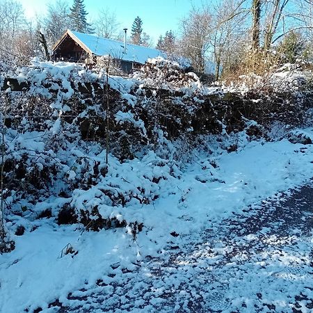 Chalet Barvaux Met Grote Tuin デュルビュイ エクステリア 写真