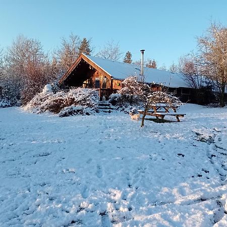 Chalet Barvaux Met Grote Tuin デュルビュイ エクステリア 写真