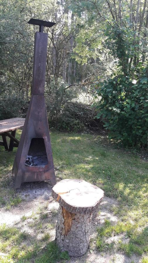 Chalet Barvaux Met Grote Tuin デュルビュイ エクステリア 写真