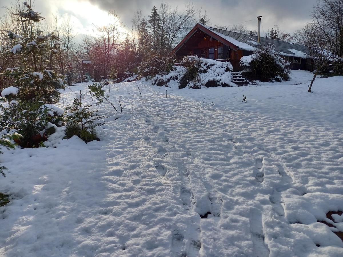 Chalet Barvaux Met Grote Tuin デュルビュイ エクステリア 写真