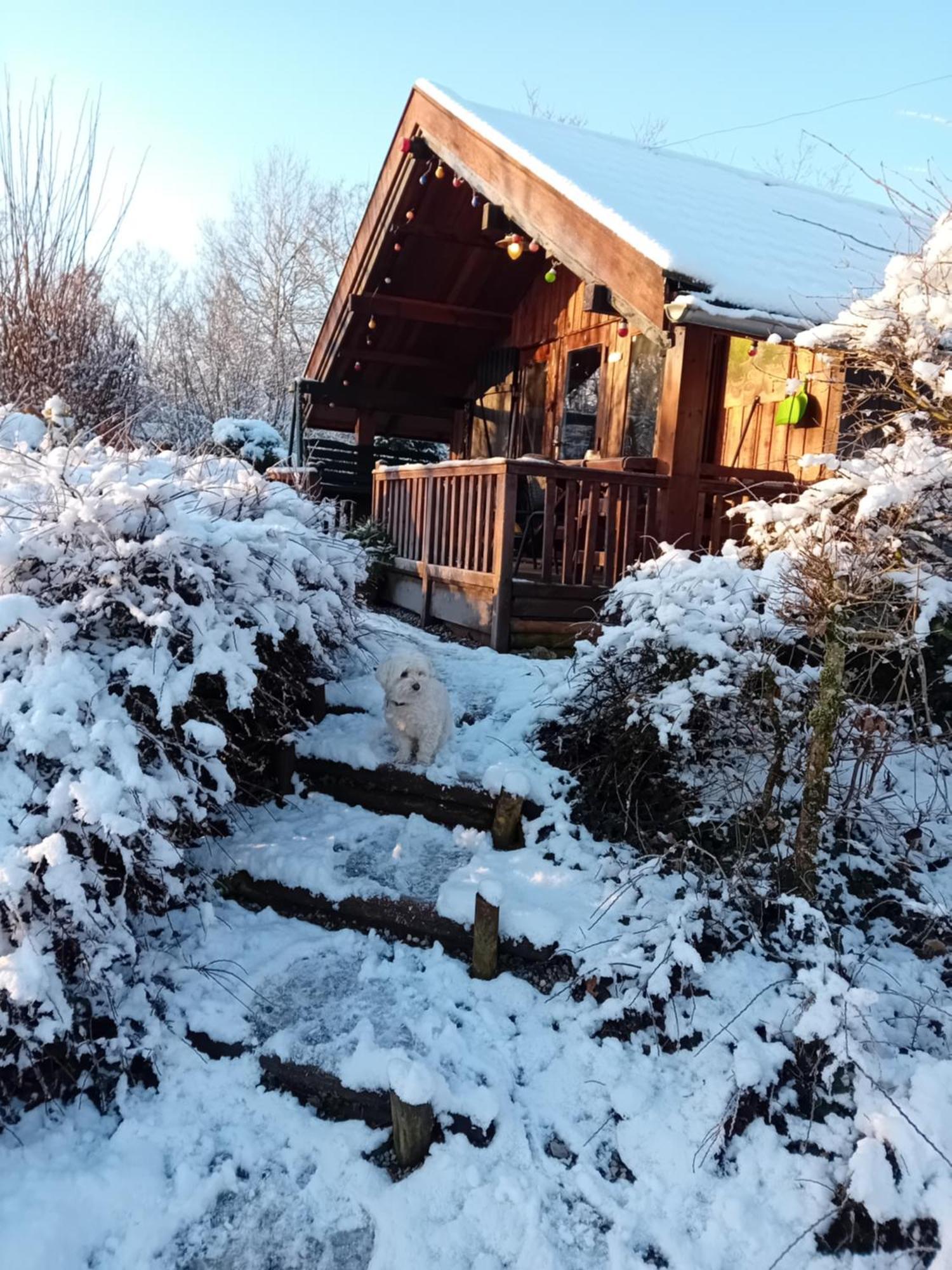 Chalet Barvaux Met Grote Tuin デュルビュイ エクステリア 写真
