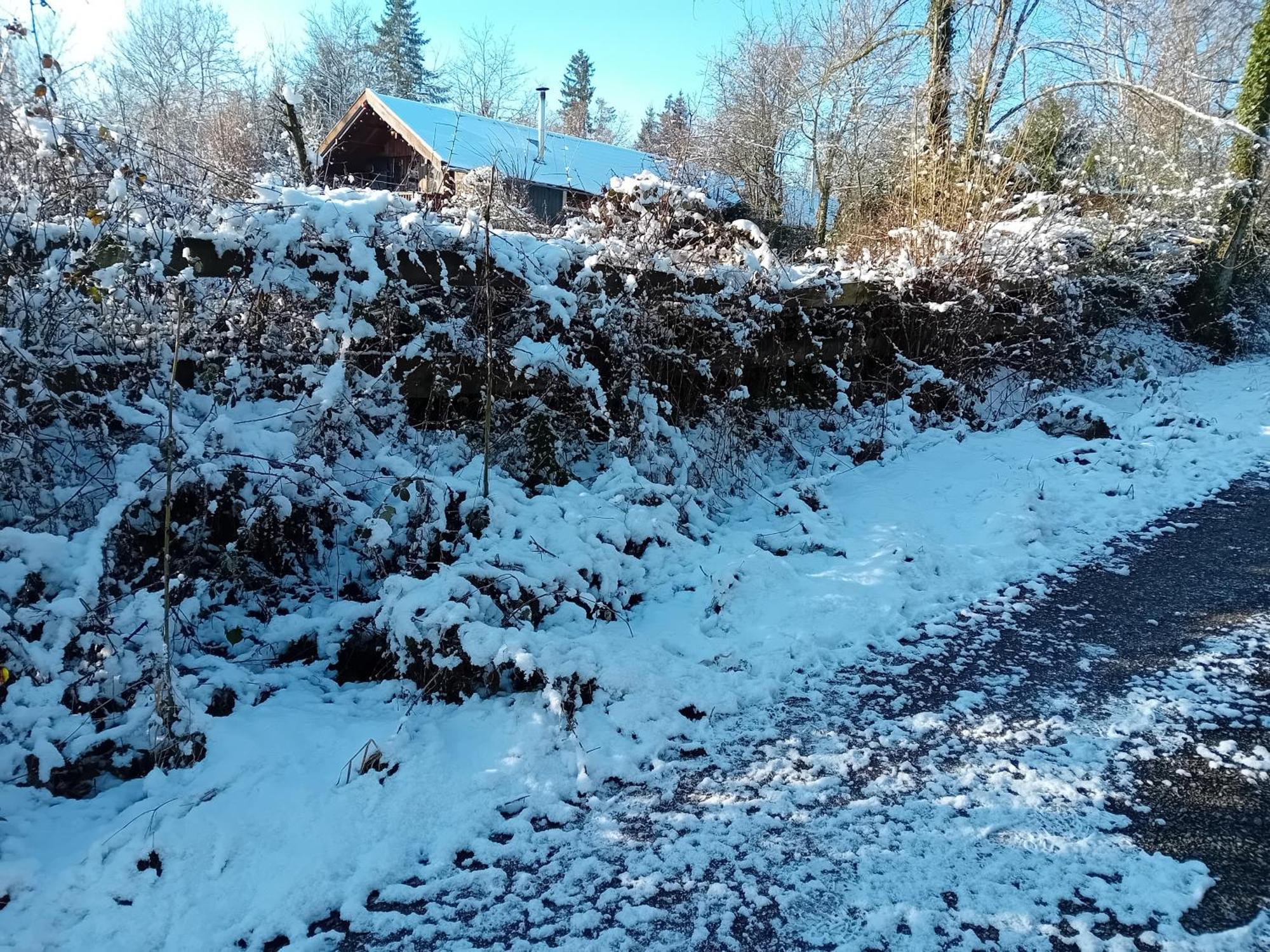 Chalet Barvaux Met Grote Tuin デュルビュイ エクステリア 写真