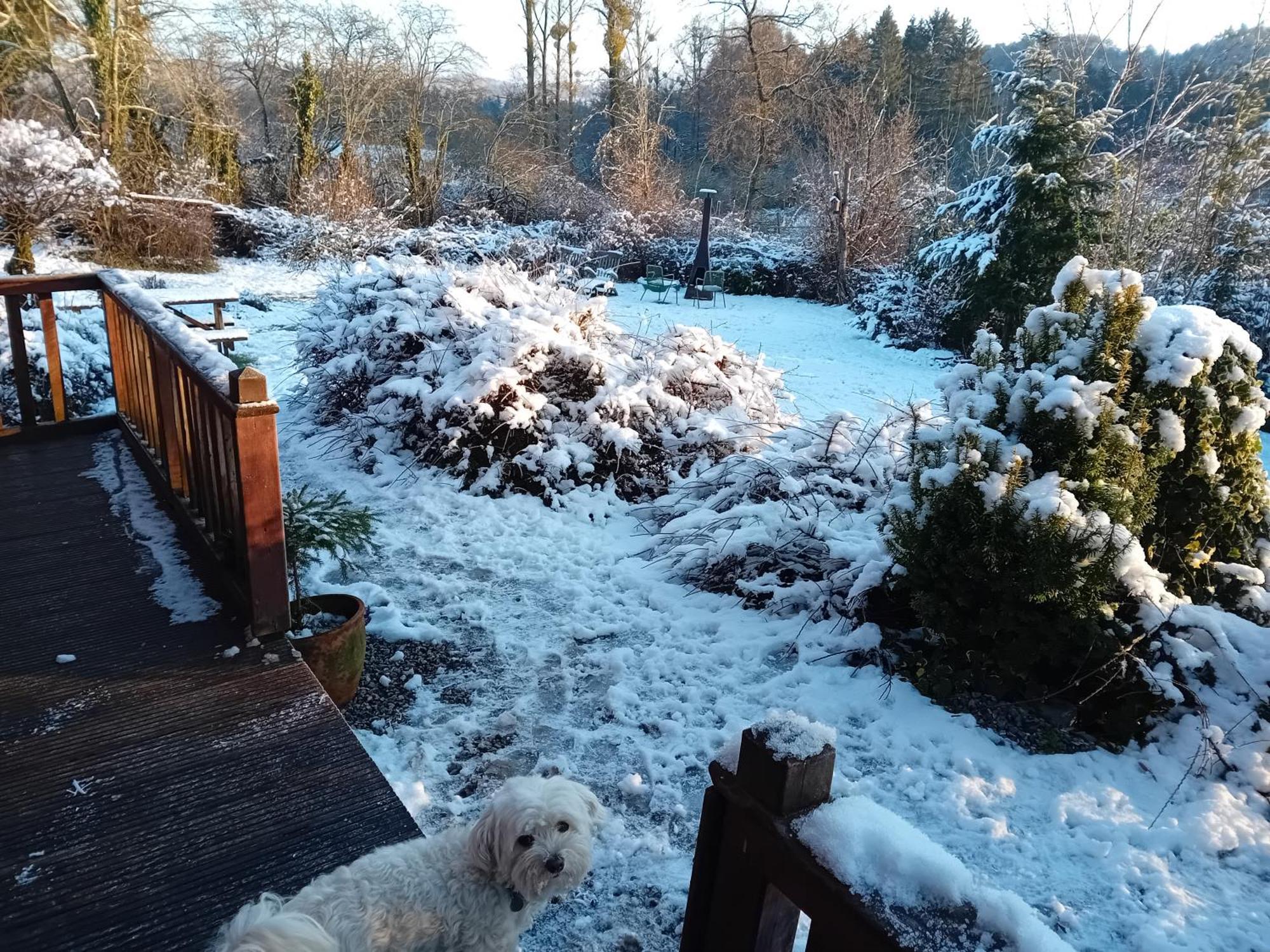 Chalet Barvaux Met Grote Tuin デュルビュイ エクステリア 写真